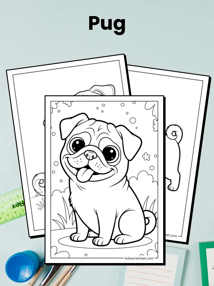 Pug Coloring Pages
